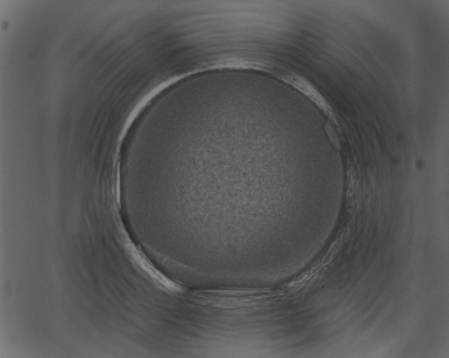 X0000066931132200603311345