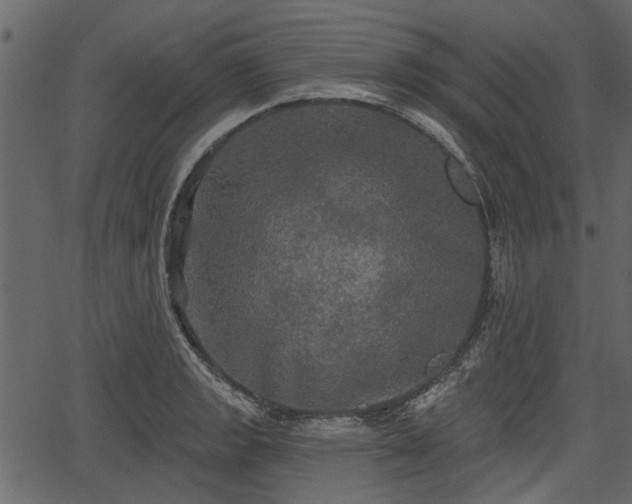 X0000066931133200603311345