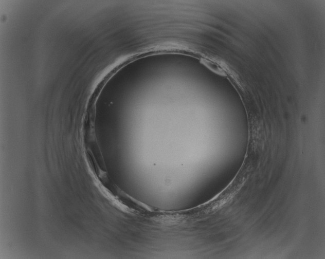 X0000066931134200603311345