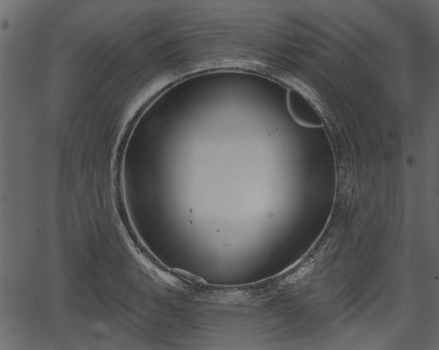 X0000066931135200603311345