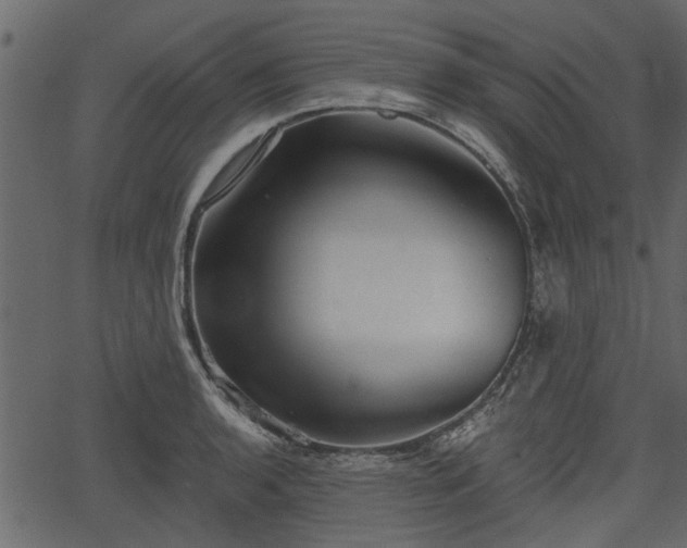 X0000066931136200603311345