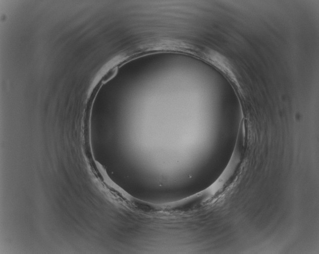 X0000066931138200603311345