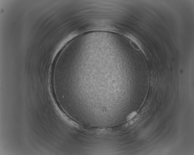 X0000066931139200603311345