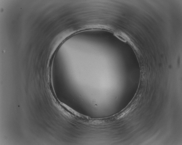 X0000066931140200603311345