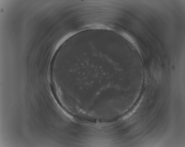 X0000066931141200603311345