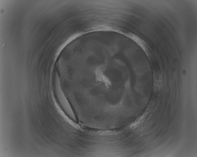 X0000066931142200603311345