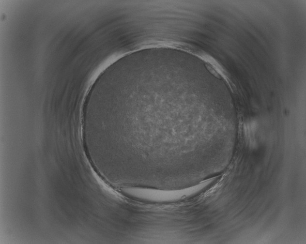 X0000066931143200603311345