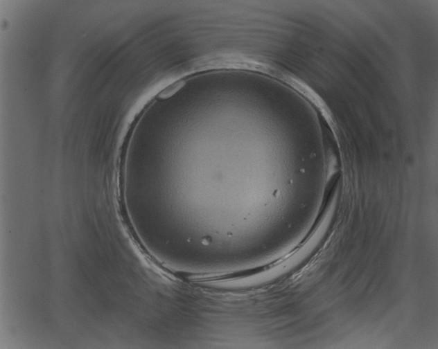 X0000066931144200603311345