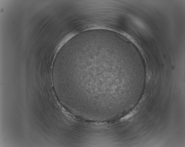 X0000066931145200603311345