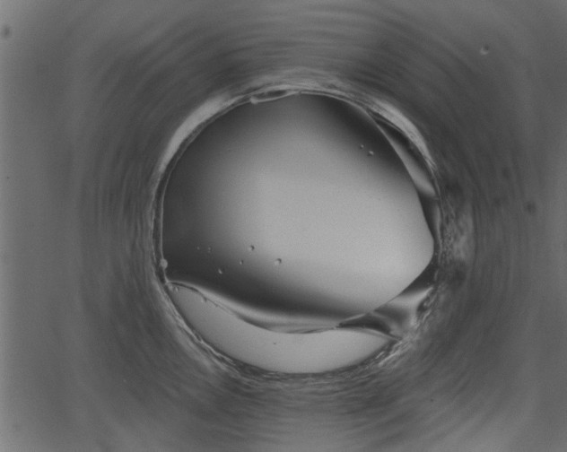 X0000066931146200603311345