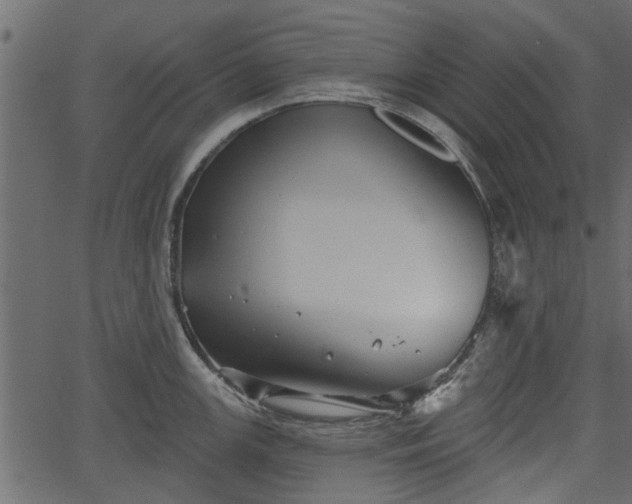 X0000066931147200603311345