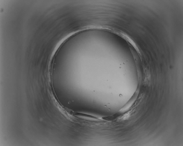 X0000066931148200603311345