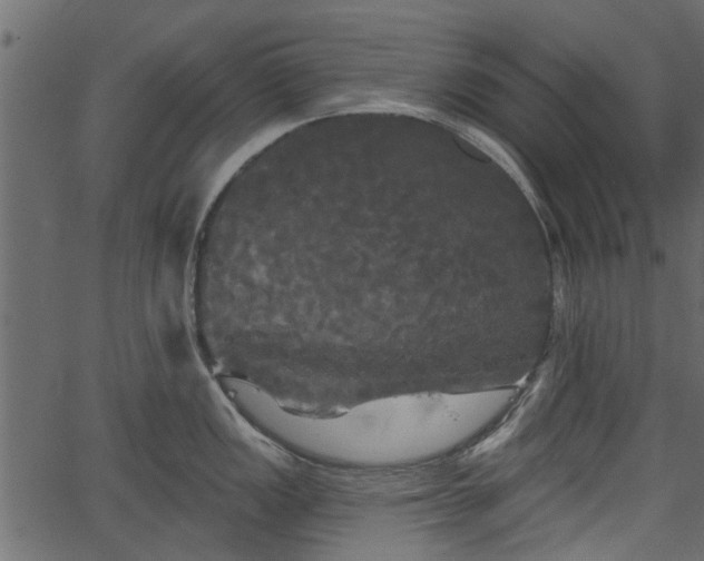 X0000066931149200603311345