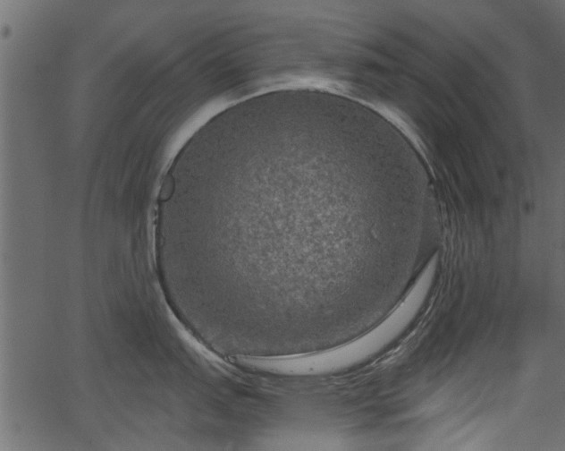 X0000066931151200603311345