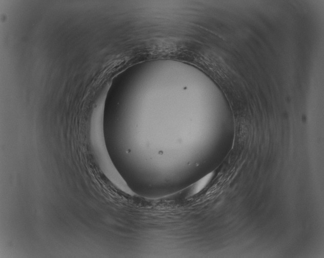 X0000066931153200603311345