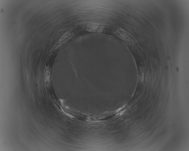 X0000066931154200603311345