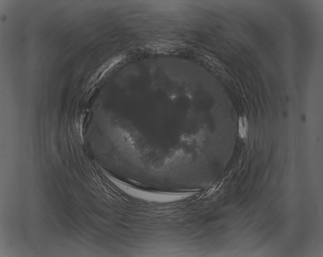 X0000066931155200603311345