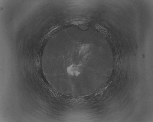 X0000066931158200603311345