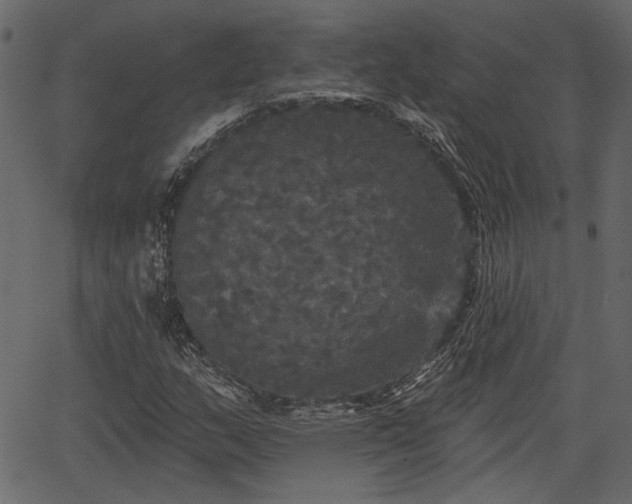 X0000066931159200603311345