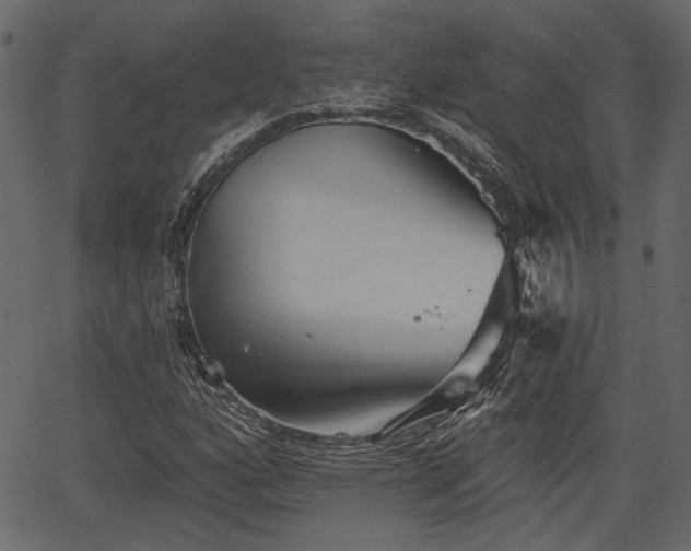 X0000066931160200603311345