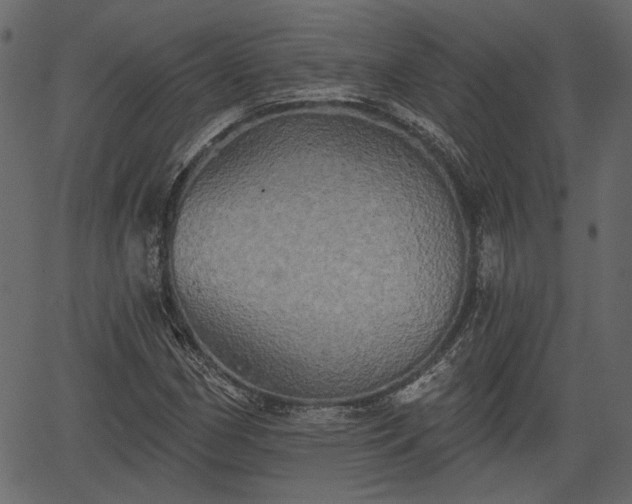 X0000066931162200603311345