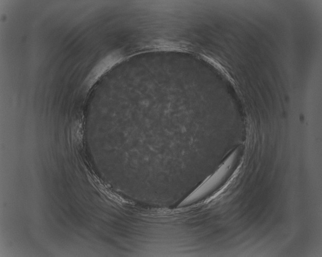 X0000066931163200603311344