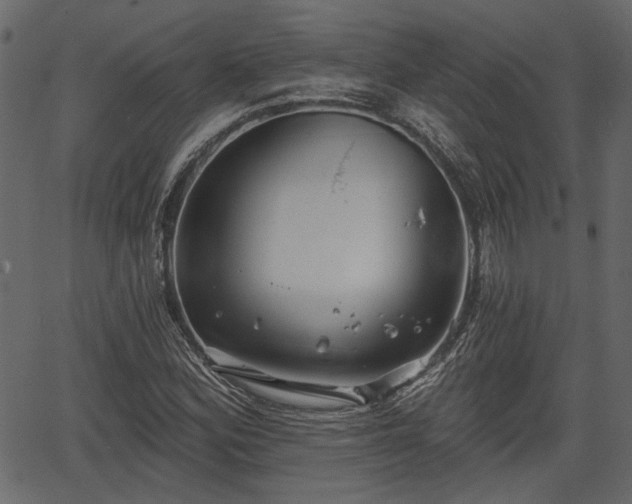 X0000066931164200603311344