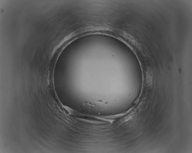 X0000066931165200603311344