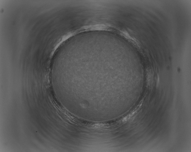 X0000066931166200603311344