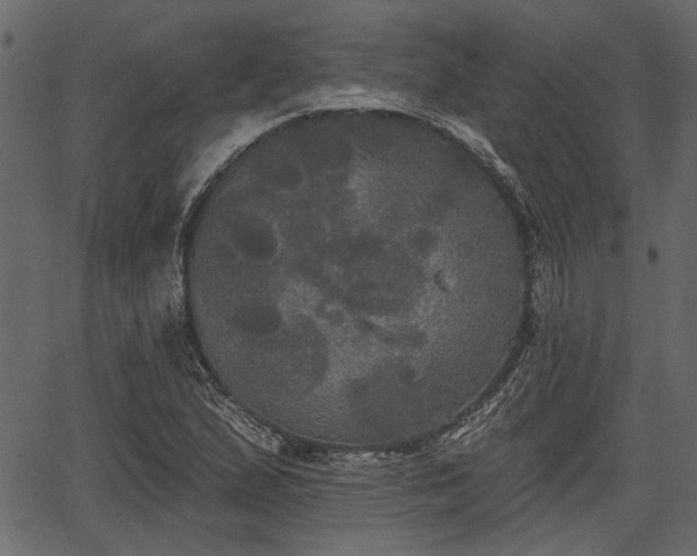 X0000066931167200603311344