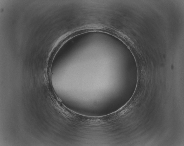 X0000066931168200603311344