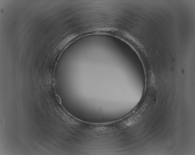 X0000066931169200603311344