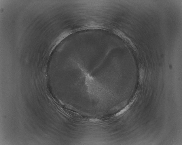 X0000066931170200603311344