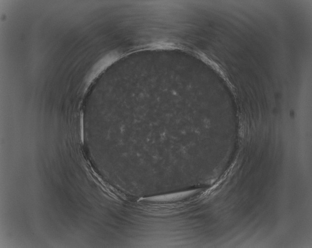 X0000066931171200603311344