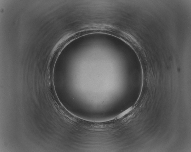 X0000066931172200603311344