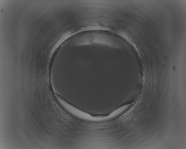 X0000066931173200603311344