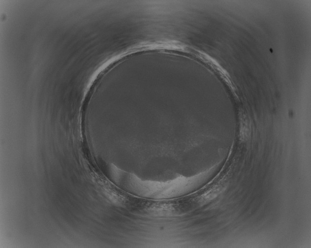 X0000066931174200603311344