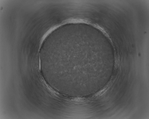 X0000066931175200603311344