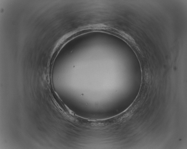 X0000066931176200603311344