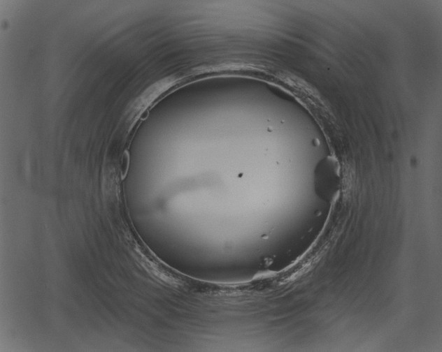 X0000066931177200603311344