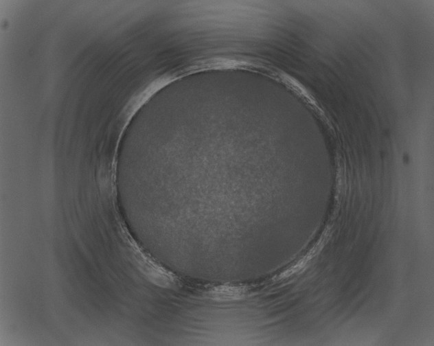 X0000066931178200603311344