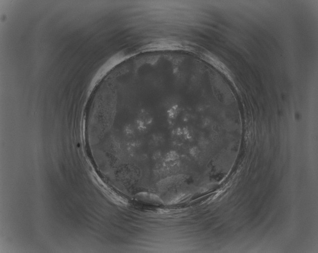 X0000066931179200603311344