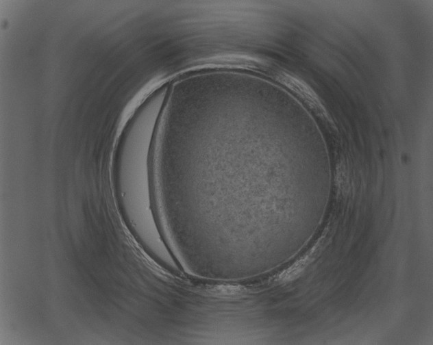 X0000066931180200603311344