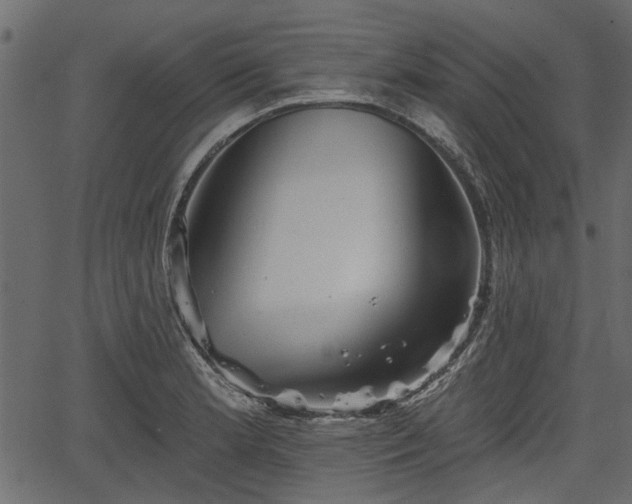 X0000066931181200603311344