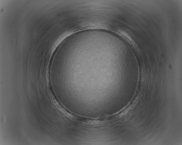 X0000066931182200603311344