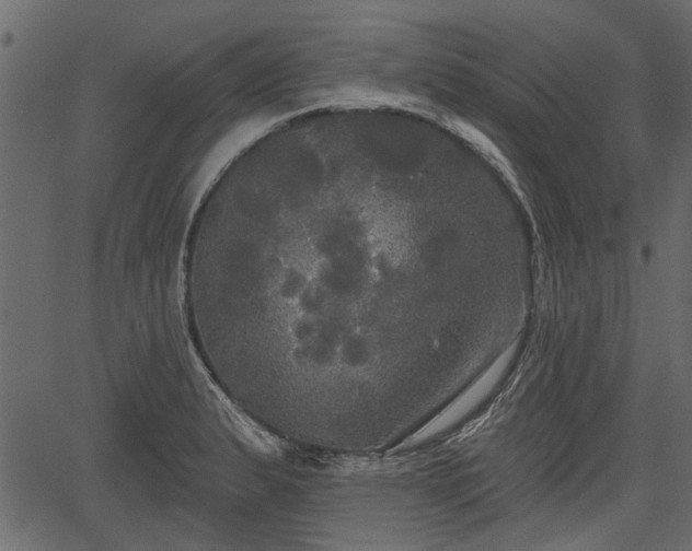 X0000066931183200603311344