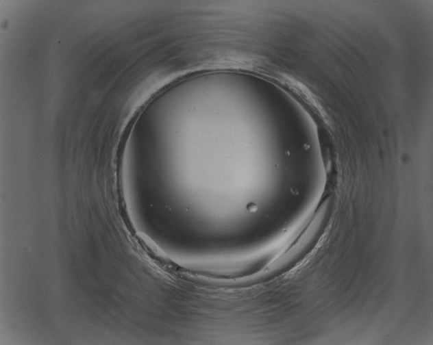 X0000066931184200603311344