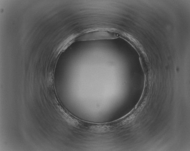 X0000066931185200603311344