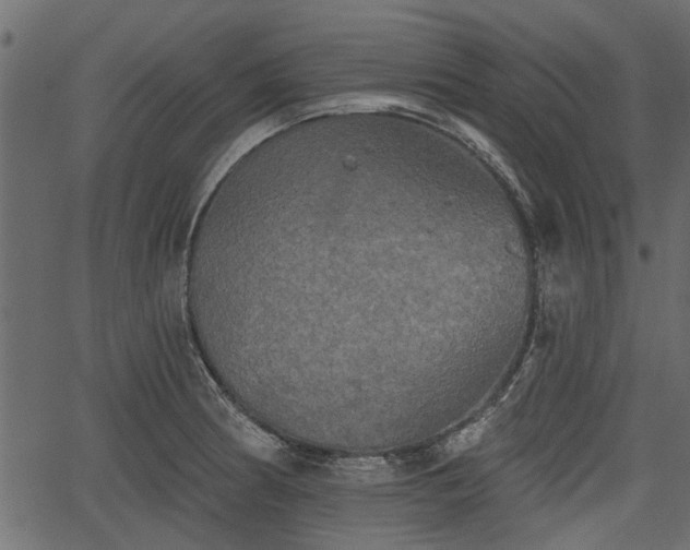 X0000066931186200603311344