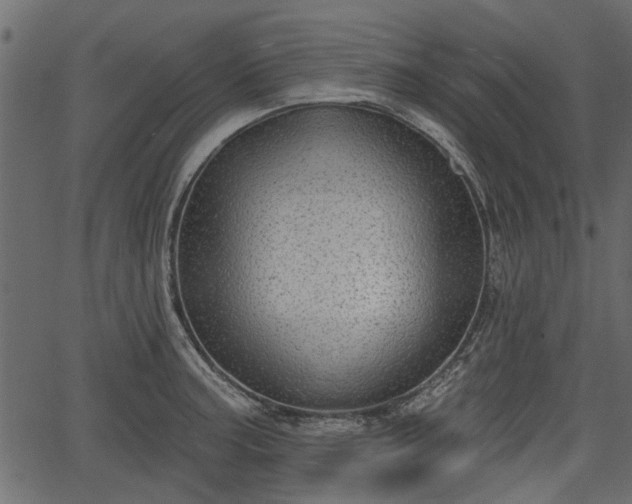 X0000066931187200603311344